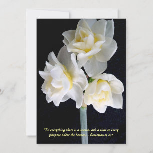 Jonquil Blume - Ecclesiastes 3:1