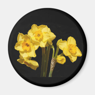 Jonquil Blume Magnet