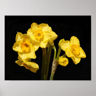 Jonquil Blume Poster