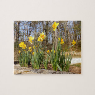Jonquilles au puzzle de photo de Pâques avec la