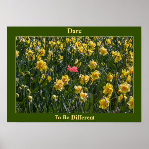 Jonquilles Dare To Be Different   Affiche