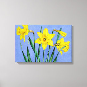 Jonquilles jaunes sur impression de toile bleue
