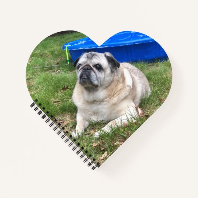 Jordan Möpsen & Kisses Heart Shaped Notebook Notizbuch (Vorderseite)