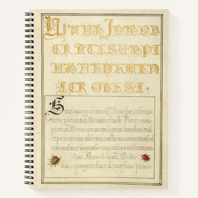 Joris Hoefnagel Beetlelike Insekten 1562 Notizbuch (Vorderseite)