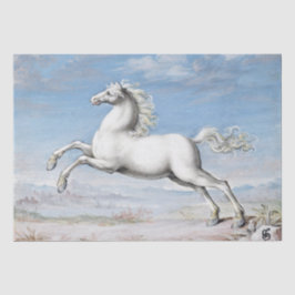 Joris Hoefnagel | Weißes Pferd - 1552 und 1601 Seidenpapier