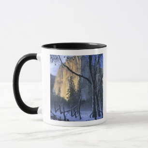 JOSEMITE NATIONAL PARK, KALIFORNIEN. USA.Hell Tasse