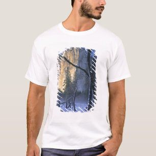 JOSEMITE NATIONAL PARK, KALIFORNIEN. USA.Licht T-Shirt