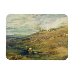 Joseph Mallord William Turner   Dartmoor: Das Magnet