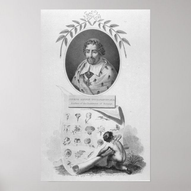 Joseph Pitton de Tournefort Poster (Vorne)