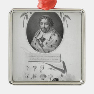 Joseph Pitton de Tournefort Silbernes Ornament