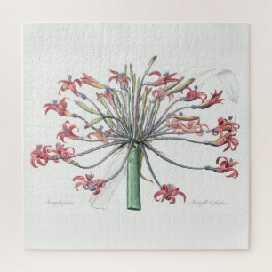 "JOSEPHINE'S LILY" REDOUTÉ JIGSAW PUZZLE