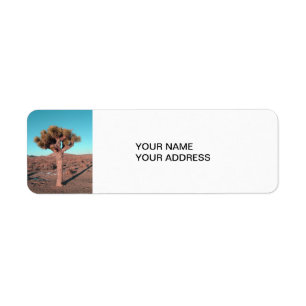Joshua-Baum