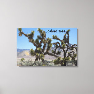 Joshua-Baum in Kalifornien Leinwanddruck