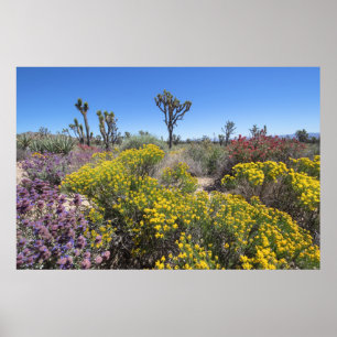 Joshua-Baum-Nationalpark in Bloom Poster