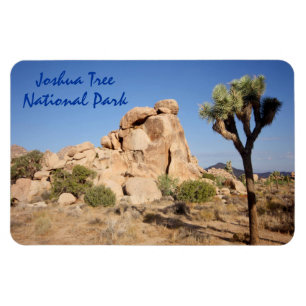 Joshua-Baum-Nationalpark Magnet