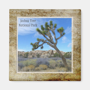 Joshua-Baum-Nationalpark-Magnet! Magnet