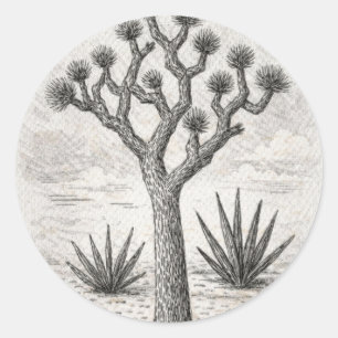 Joshua-Baum-Skizze   Wüsten-Skizzenkunst Runder Aufkleber