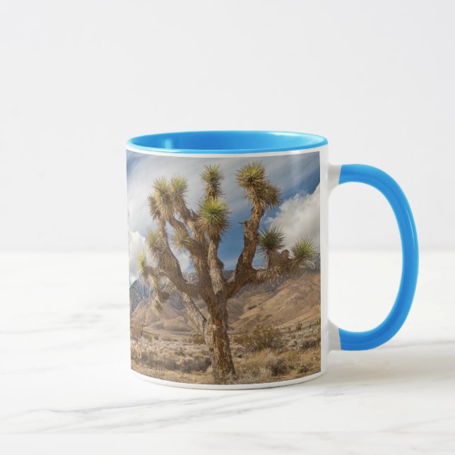 Joshua-Bäume in der Wüste Tasse (Rechts)