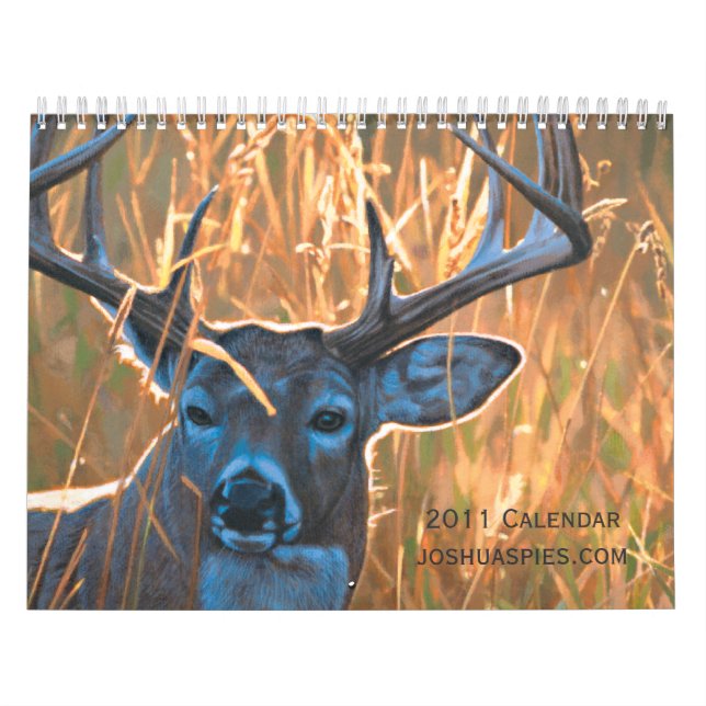 Joshua Spies 2011 Kalender (Titelbild)