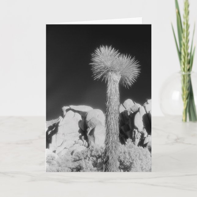 Joshua Tree #1 Karte (Vorderseite)