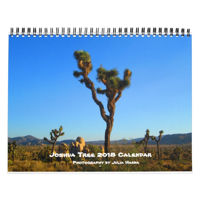 Joshua Tree 2018 von Julia Hanna Kalender (Titelbild)
