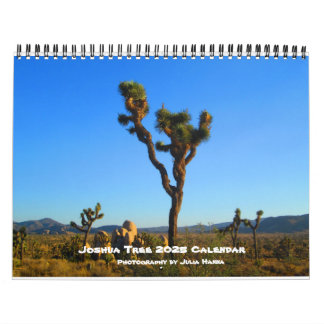 Joshua Tree 2022 von Julia Hanna Calendar Kalender
