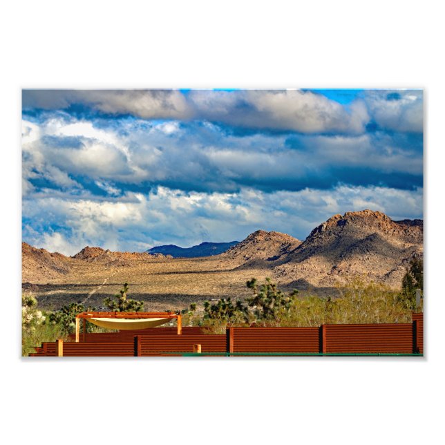 Joshua Tree Fotodruck (Vorne)
