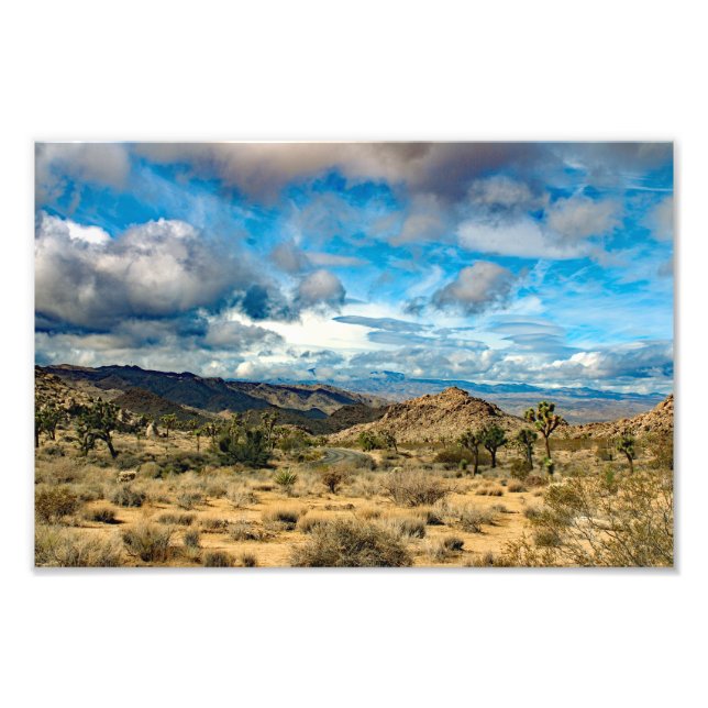 Joshua Tree Fotodruck (Vorne)