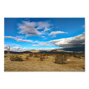 Joshua Tree Fotodruck