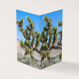 Joshua Tree in Kalifornien