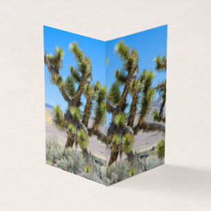 Joshua Tree in Kalifornien