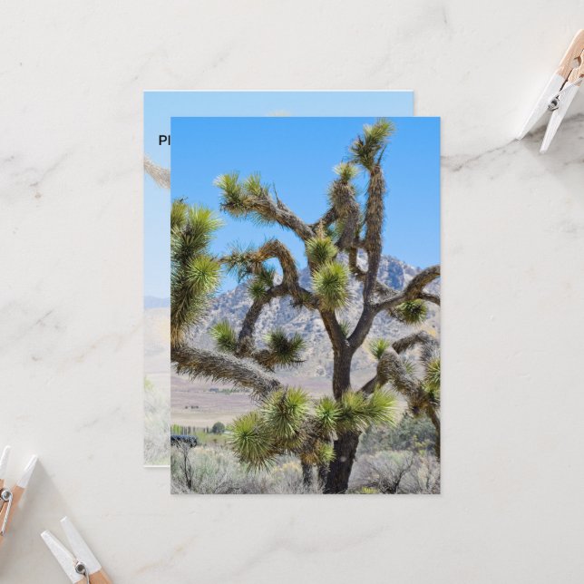 Joshua Tree in Kalifornien Einladung (Vorderseite/Rückseite Beispiel)