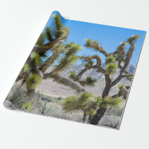Joshua Tree in Kalifornien