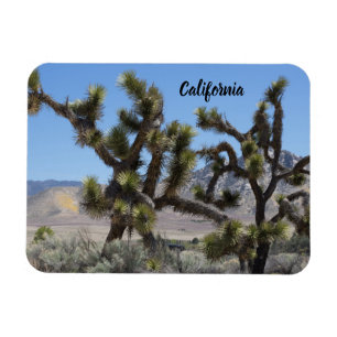 Joshua Tree in Kalifornien Magnet