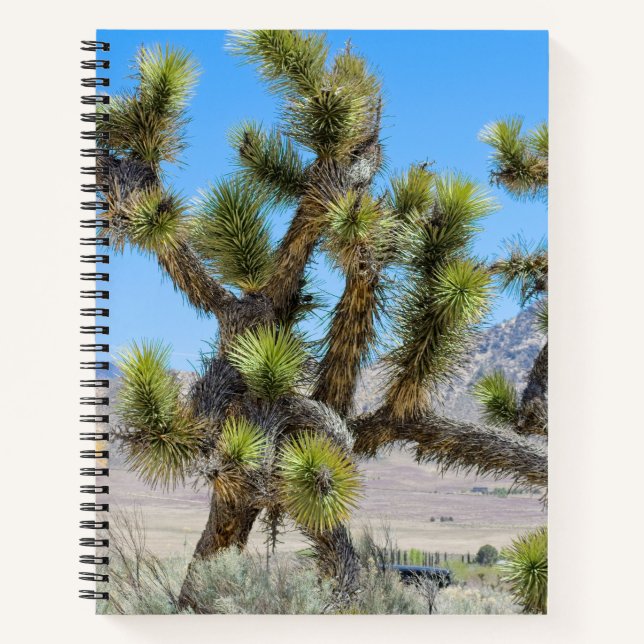 Joshua Tree in Kalifornien Notizbuch (Vorderseite)