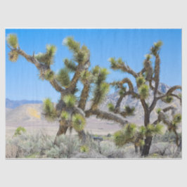 Joshua Tree in Kalifornien Seidenpapier