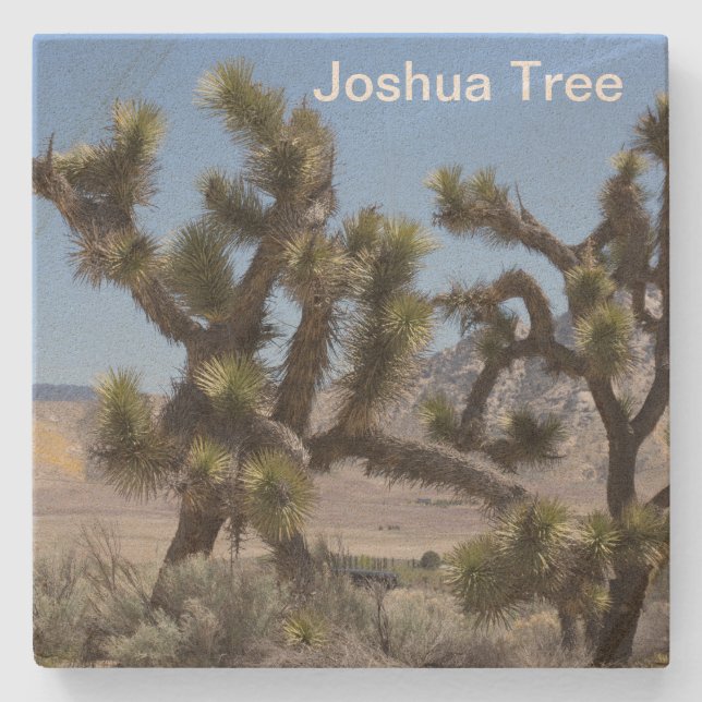 Joshua Tree in Kalifornien Steinuntersetzer (Vorderseite)