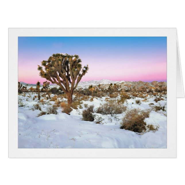 "Joshua Tree in Snow" (Vorderseite (Horizontal))
