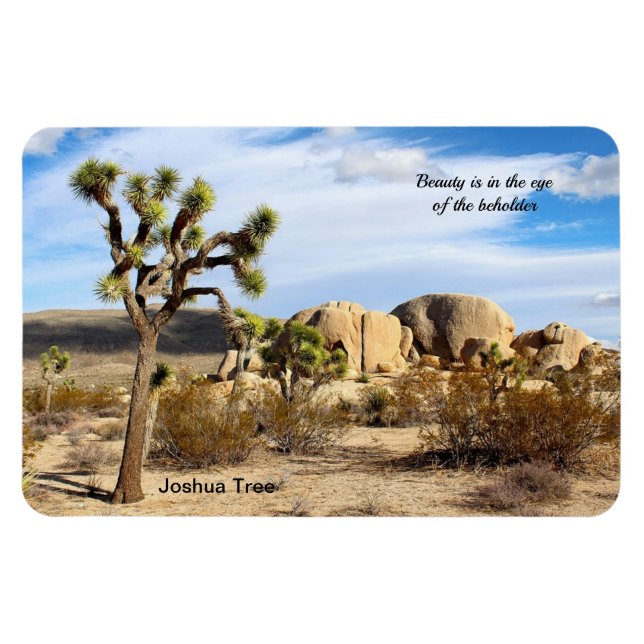 Joshua Tree in the Mojave Desert 4"x6 Magnet (Horizontal)
