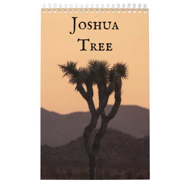 Joshua Tree Kalender (Titelbild)