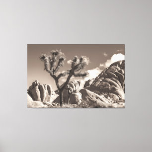 Joshua Tree Landscape Sepia Tone Leinwanddruck