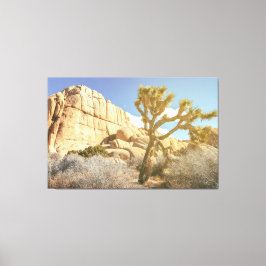 Joshua Tree Leinwanddruck