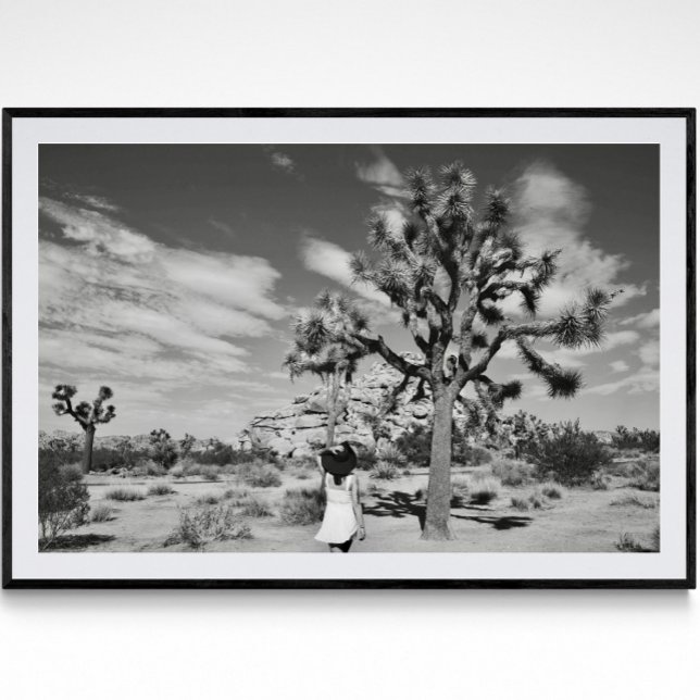 Joshua Tree National Park Fotografy Poster (Von Creator hochgeladen)