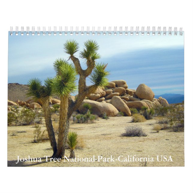 Joshua Tree National Park - Kalifornien USA Kalender (Titelbild)