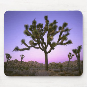 JOSHUA TREE NATIONAL PARK, KALIFORNIEN. USA. MOUSEPAD