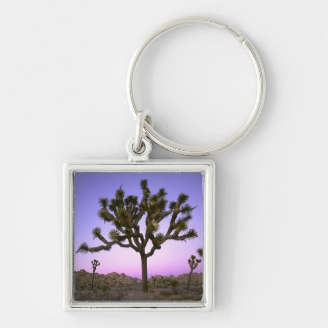 JOSHUA TREE NATIONAL PARK, KALIFORNIEN. USA. SCHLÜSSELANHÄNGER (Vorne)