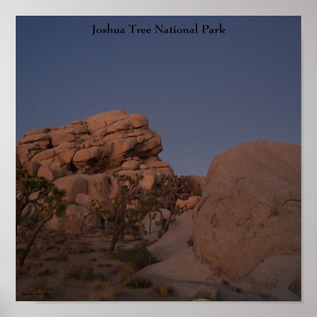 Joshua Tree National Park Poster (Vorne)