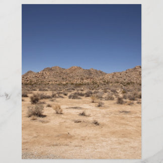 Joshua Tree Nationalpark