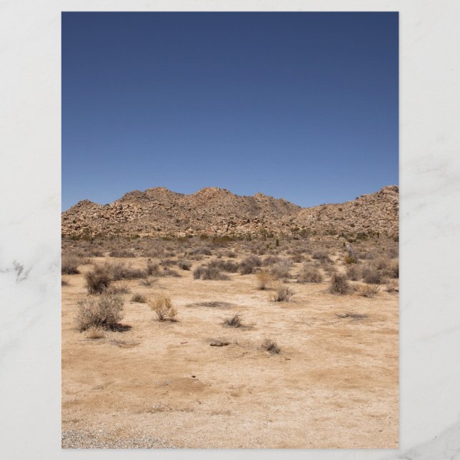 Joshua Tree Nationalpark (Vorderseite)