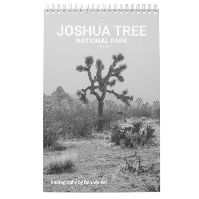 Joshua Tree Nationalpark ... Im Regenkalender Kalender (Titelbild)